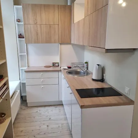 Igo Uzupis Appartement *