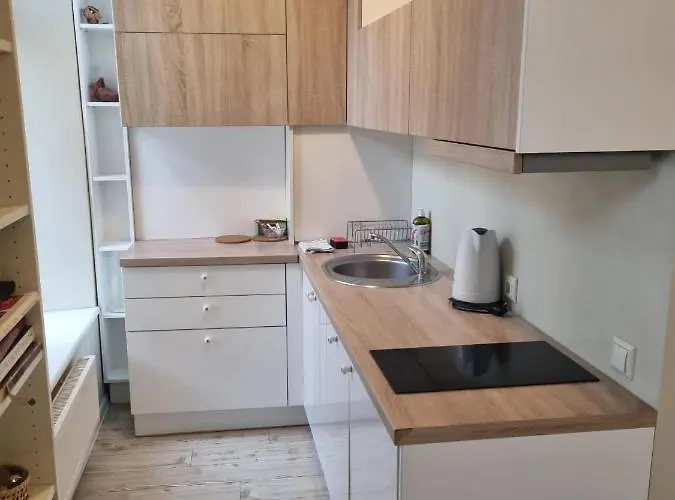 Igo Uzupis Apartament *