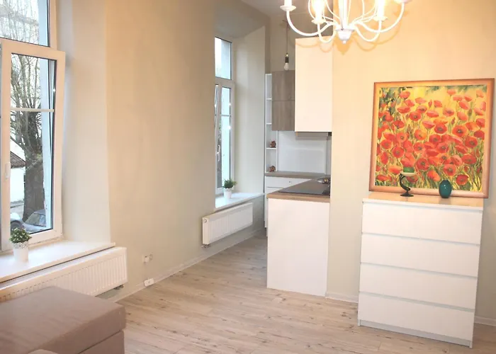 Apartament Igo Uzupis *